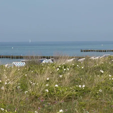 In Mit Terrasse Appartamento Steffenshagen